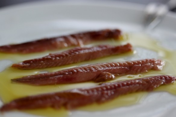 anchoas salmuera