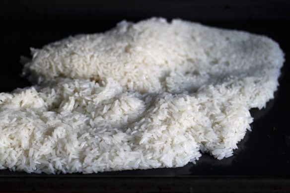 arroz glutinoso