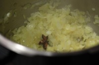 cebolla y anís estrellado cebolla y anís estrellado