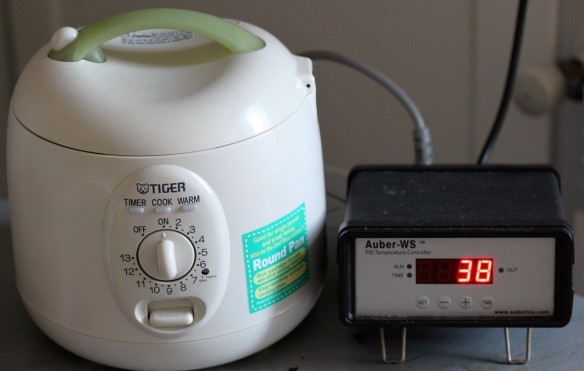 cocedor arroz con controlador