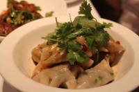 dumplings picantes