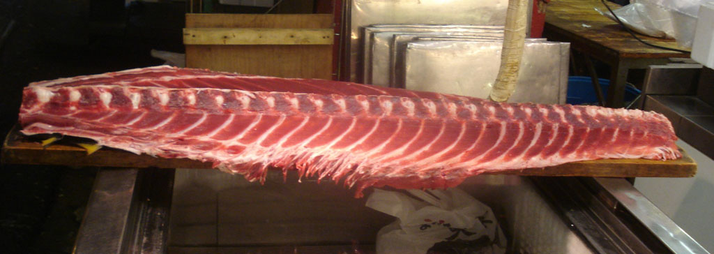 espinazo atún