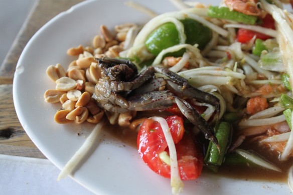 pla-raa and crab papaya salad