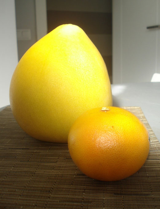 pomelo-y-naranja