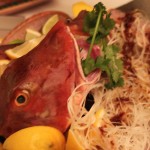 sashimi